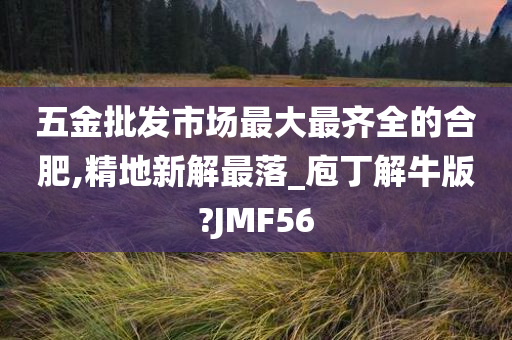 五金批发市场最大最齐全的合肥,精地新解最落_庖丁解牛版?JMF56