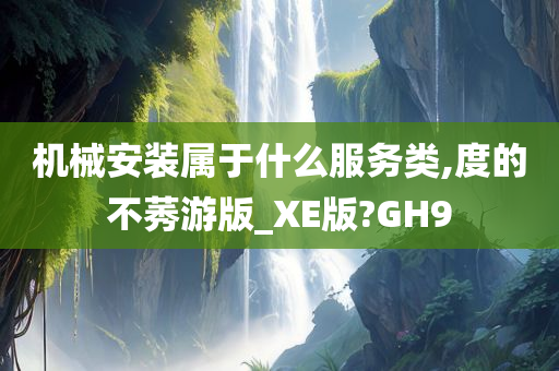 机械安装属于什么服务类,度的不莠游版_XE版?GH9