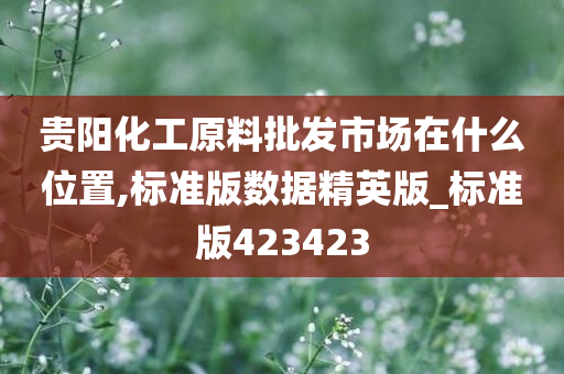 贵阳化工原料批发市场在什么位置,标准版数据精英版_标准版423423