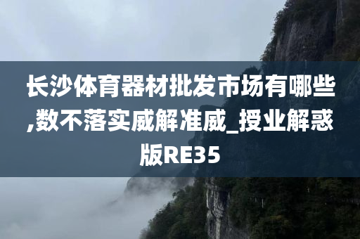 长沙体育器材批发市场有哪些,数不落实威解准威_授业解惑版RE35