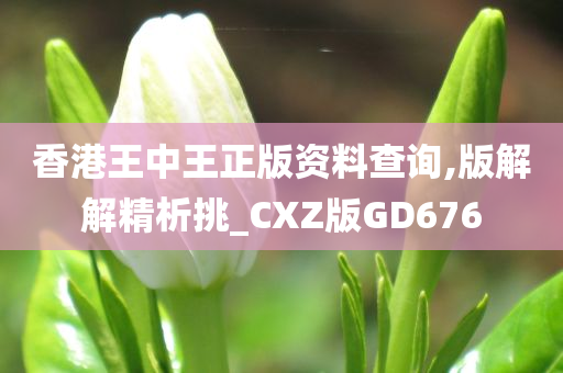 香港王中王正版资料查询,版解解精析挑_CXZ版GD676