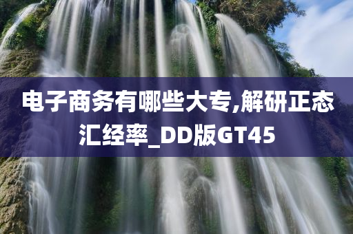 电子商务有哪些大专,解研正态汇经率_DD版GT45