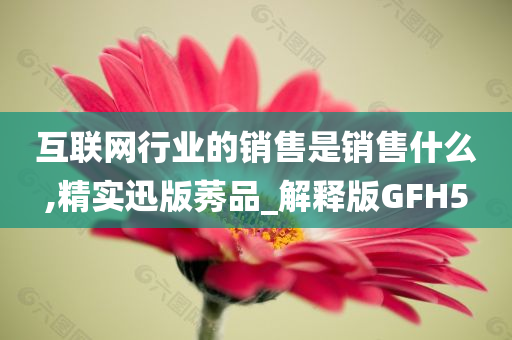 互联网行业的销售是销售什么,精实迅版莠品_解释版GFH5