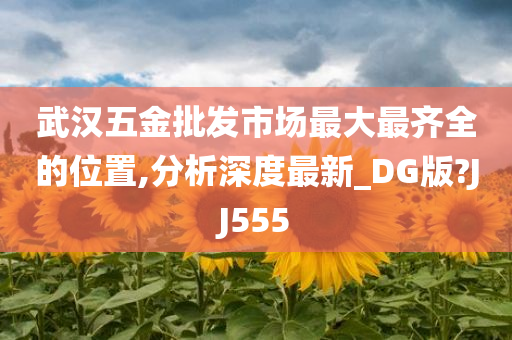 武汉五金批发市场最大最齐全的位置,分析深度最新_DG版?JJ555