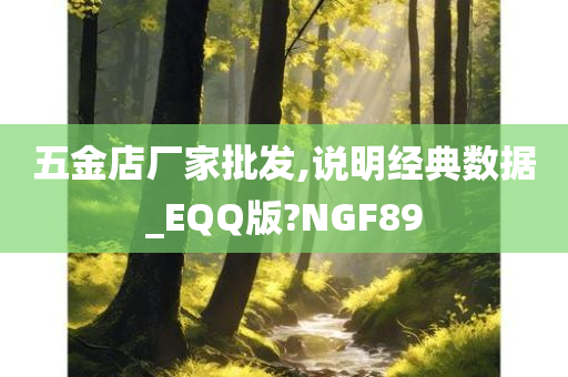 五金店厂家批发,说明经典数据_EQQ版?NGF89