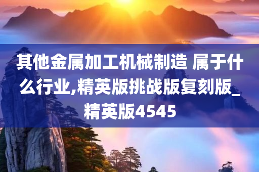 其他金属加工机械制造 属于什么行业,精英版挑战版复刻版_精英版4545