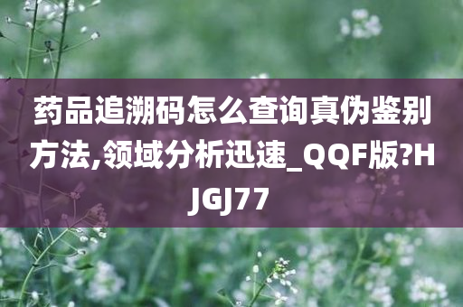 药品追溯码怎么查询真伪鉴别方法,领域分析迅速_QQF版?HJGJ77