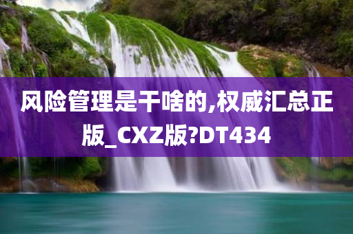 风险管理是干啥的,权威汇总正版_CXZ版?DT434