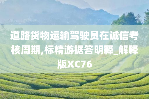 道路货物运输驾驶员在诚信考核周期,标精游据答明释_解释版XC76