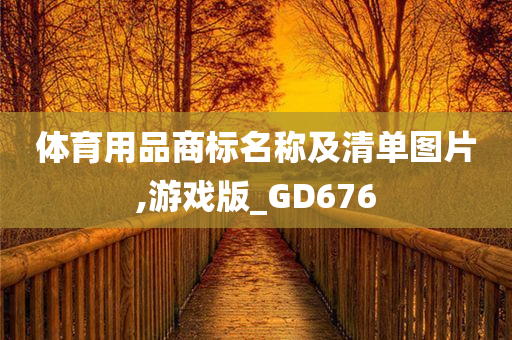 体育用品商标名称及清单图片,游戏版_GD676