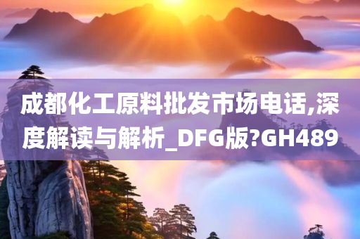 成都化工原料批发市场电话,深度解读与解析_DFG版?GH489