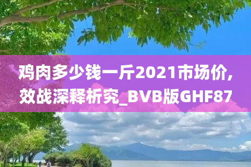 鸡肉多少钱一斤2021市场价,效战深释析究_BVB版GHF87