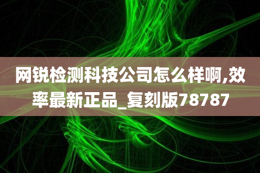 网锐检测科技公司怎么样啊,效率最新正品_复刻版78787