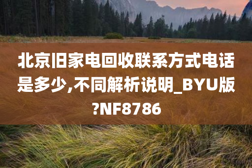 北京旧家电回收联系方式电话是多少,不同解析说明_BYU版?NF8786