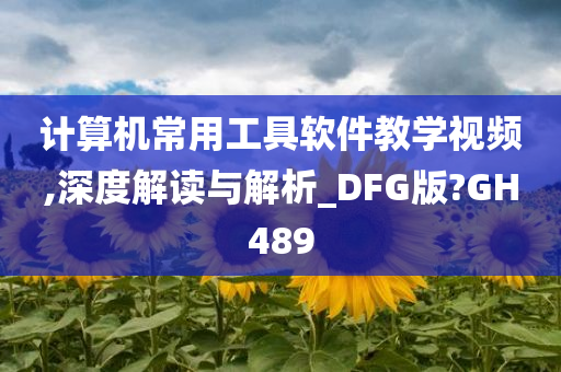 计算机常用工具软件教学视频,深度解读与解析_DFG版?GH489