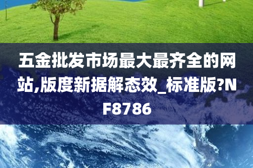 五金批发市场最大最齐全的网站,版度新据解态效_标准版?NF8786