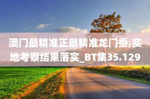 澳门最精准正最精准龙门蚕,实地考察结果落实_BT集35.129