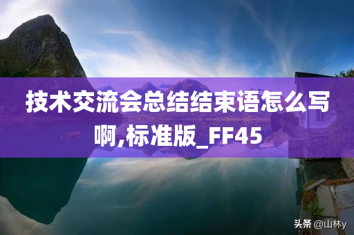 技术交流会总结结束语怎么写啊,标准版_FF45