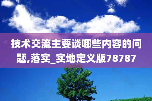 技术交流主要谈哪些内容的问题,落实_实地定义版78787