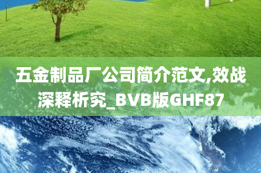 五金制品厂公司简介范文,效战深释析究_BVB版GHF87