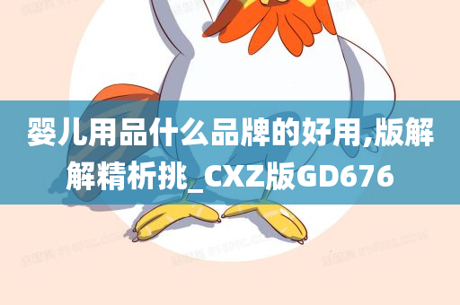 婴儿用品什么品牌的好用,版解解精析挑_CXZ版GD676