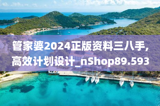 管家婆2024正版资料三八手,高效计划设计_nShop89.593