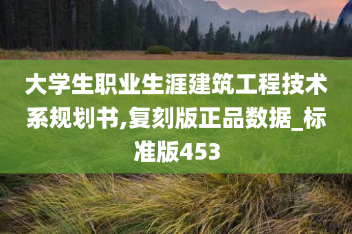 大学生职业生涯建筑工程技术系规划书,复刻版正品数据_标准版453