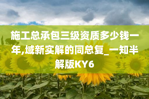 施工总承包三级资质多少钱一年,域新实解的同总复_一知半解版KY6