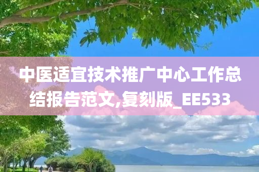 中医适宜技术推广中心工作总结报告范文,复刻版_EE533