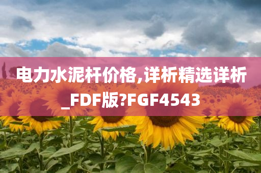 电力水泥杆价格,详析精选详析_FDF版?FGF4543