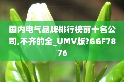 国内电气品牌排行榜前十名公司,不齐的全_UMV版?GGF7876