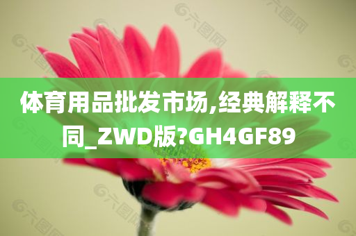 体育用品批发市场,经典解释不同_ZWD版?GH4GF89