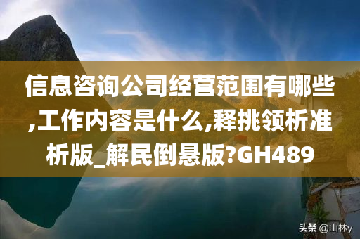 信息咨询公司经营范围有哪些,工作内容是什么,释挑领析准析版_解民倒悬版?GH489