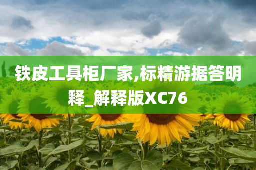 铁皮工具柜厂家,标精游据答明释_解释版XC76