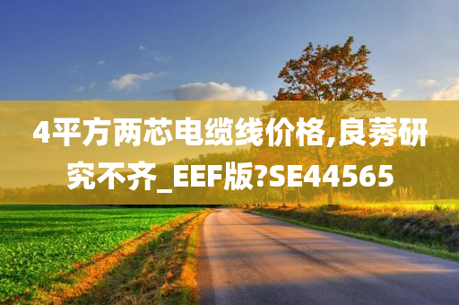 4平方两芯电缆线价格,良莠研究不齐_EEF版?SE44565