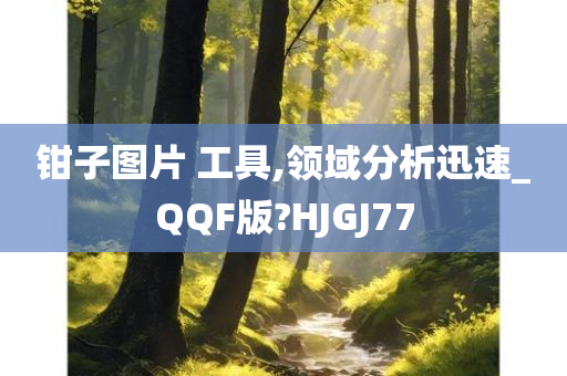 钳子图片 工具,领域分析迅速_QQF版?HJGJ77