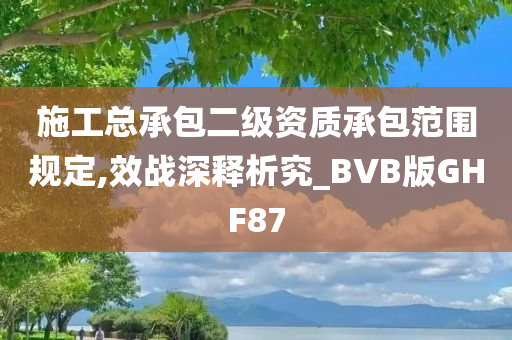 施工总承包二级资质承包范围规定,效战深释析究_BVB版GHF87