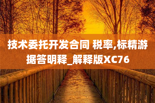 技术委托开发合同 税率,标精游据答明释_解释版XC76