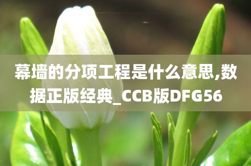 幕墙的分项工程是什么意思,数据正版经典_CCB版DFG56