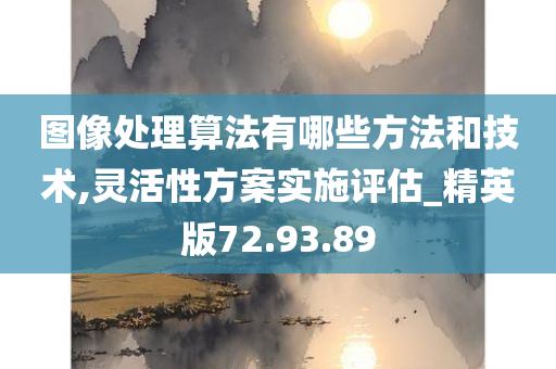 图像处理算法有哪些方法和技术,灵活性方案实施评估_精英版72.93.89