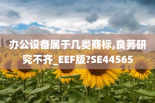 办公设备属于几类商标,良莠研究不齐_EEF版?SE44565