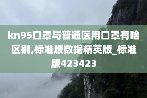 kn95口罩与普通医用口罩有啥区别,标准版数据精英版_标准版423423