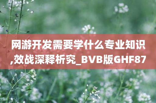 网游开发需要学什么专业知识,效战深释析究_BVB版GHF87