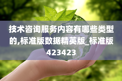 技术咨询服务内容有哪些类型的,标准版数据精英版_标准版423423