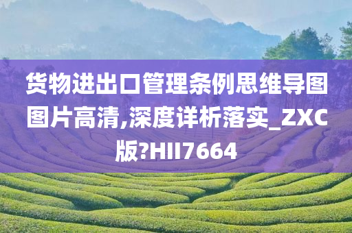 货物进出口管理条例思维导图图片高清,深度详析落实_ZXC版?HII7664