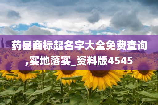 药品商标起名字大全免费查询,实地落实_资料版4545