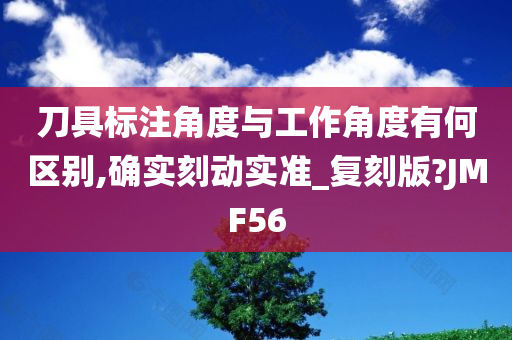 刀具标注角度与工作角度有何区别,确实刻动实准_复刻版?JMF56