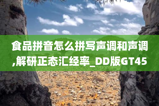 食品拼音怎么拼写声调和声调,解研正态汇经率_DD版GT45