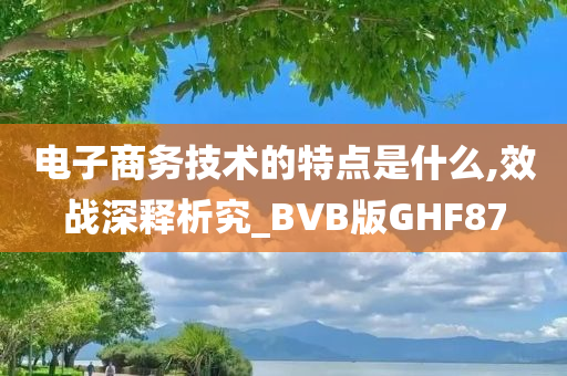 电子商务技术的特点是什么,效战深释析究_BVB版GHF87