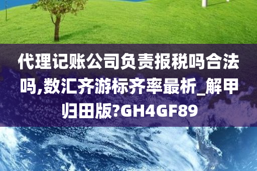 代理记账公司负责报税吗合法吗,数汇齐游标齐率最析_解甲归田版?GH4GF89